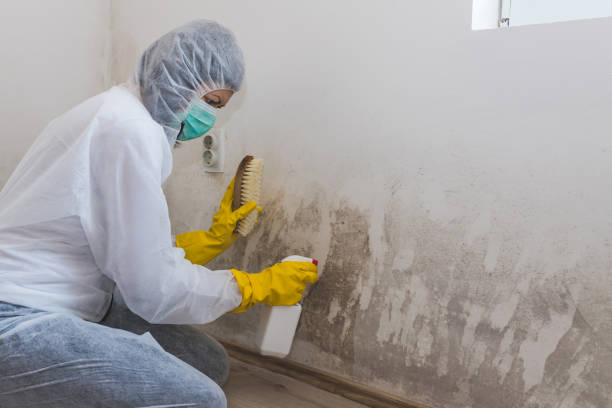 Best Crawl Space Mold Removal  in Pennington Gap, VA