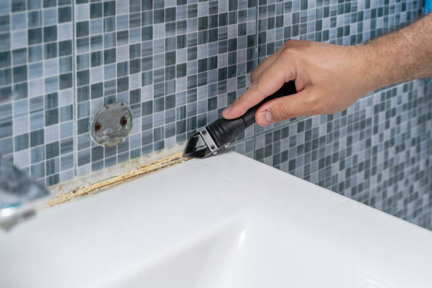 Best Affordable Mold Removal  in Pennington Gap, VA